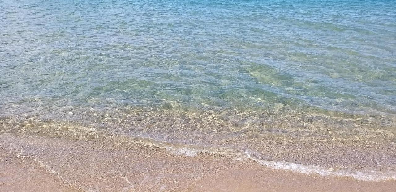 Sunny Apartment 21,ابزور المظهر الخارجي الصورة